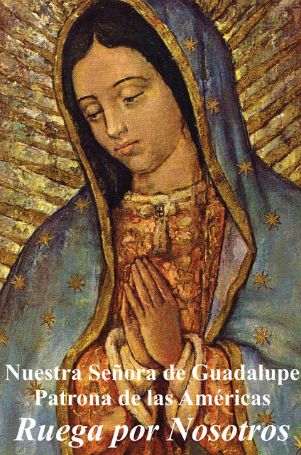 Religious Liberty Prayer Card - Our Lady of Guadalupe - Spanish